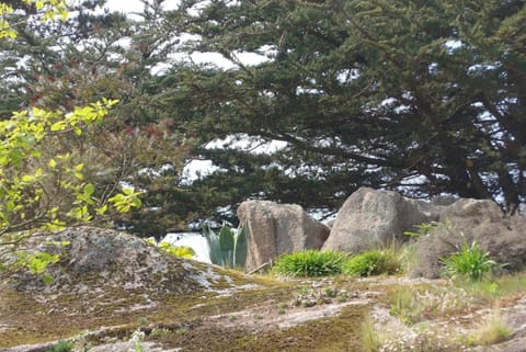 Belle villa 4 étoiles avec jardin, WIFI à 600m de la plage à TREGASTEL - Ref 137 Villa in Trégastel