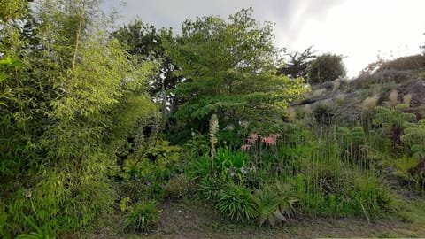 Belle villa 4 étoiles avec jardin, WIFI à 600m de la plage à TREGASTEL - Ref 137 Villa in Trégastel