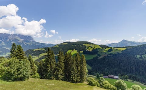 Off site, Mountain view