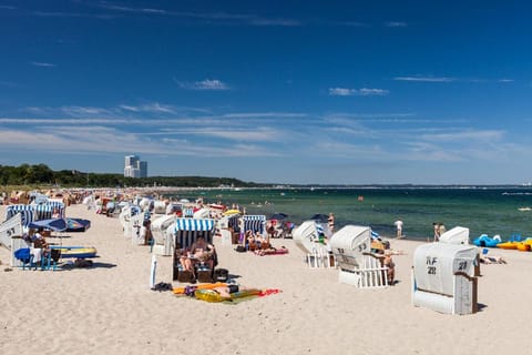 Beach, Area and facilities