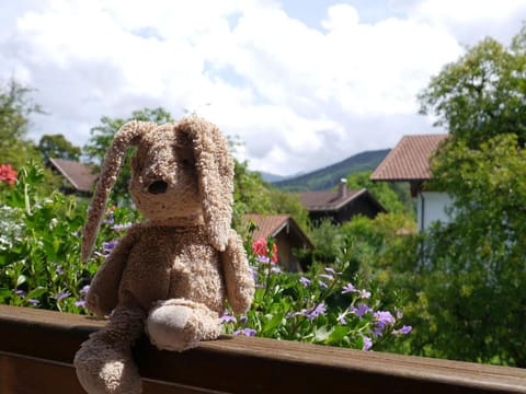 Ferienwohnungen Winkler Apartment in Aschau im Chiemgau