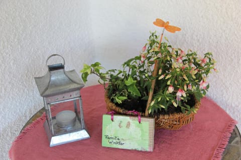 Ferienwohnungen Winkler Apartment in Aschau im Chiemgau