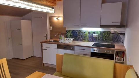 Haus Knapp FeWo Gastein Apartment in Bad Hofgastein