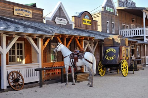 Nearby landmark, Horse-riding, View (from property/room), Animals, Inner courtyard view