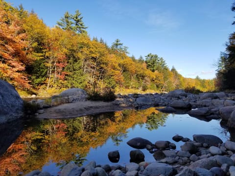 Natural landscape, River view