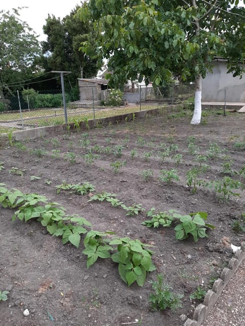 La petite escale House in Centre-Val de Loire