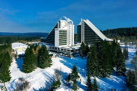 Property building, Off site, Day, Natural landscape, Bird's eye view, Winter, On site