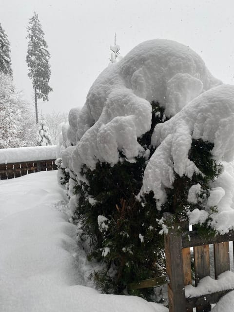 Haus Mayerbüchler - Chiemgau Karte Apartment in Berchtesgadener Land