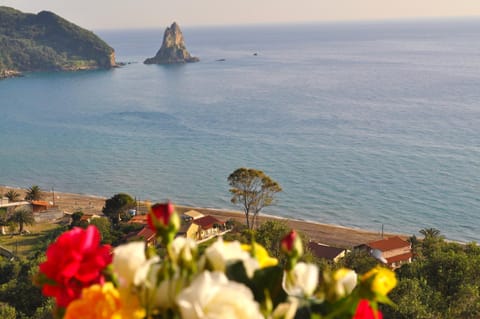 Beach house Yannis in Agios Gordios beach on Corfu Casa in Saint Gordios beach