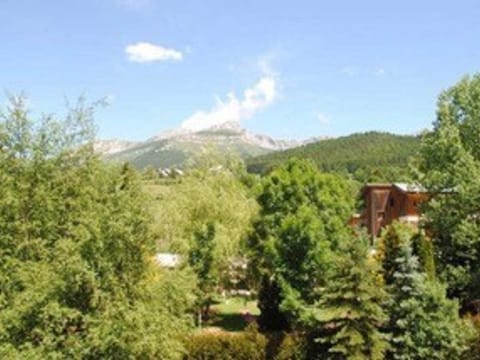 Studio mezzanine pour 4 pers. à Villard-de-Lans, animaux admis - FR-1-515-113 Apartment in Provence-Alpes-Côte d'Azur