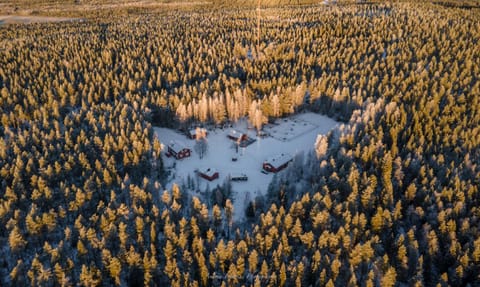Old Pine Husky Lodge Resort in Lapland