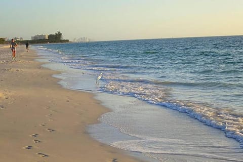 Natural landscape, Beach