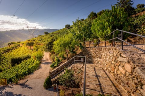 Natural landscape, Mountain view