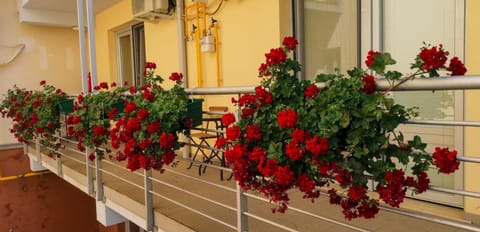 Comfort Residence Apartment in Timisoara