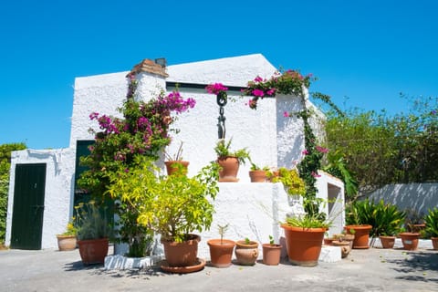 CASA BUGANVILLA Apartment in La Janda