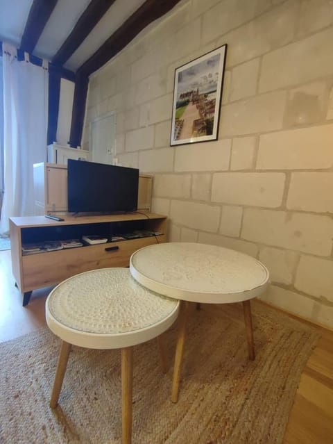 Lovely T2 in the heart of Tours Apartment in Tours