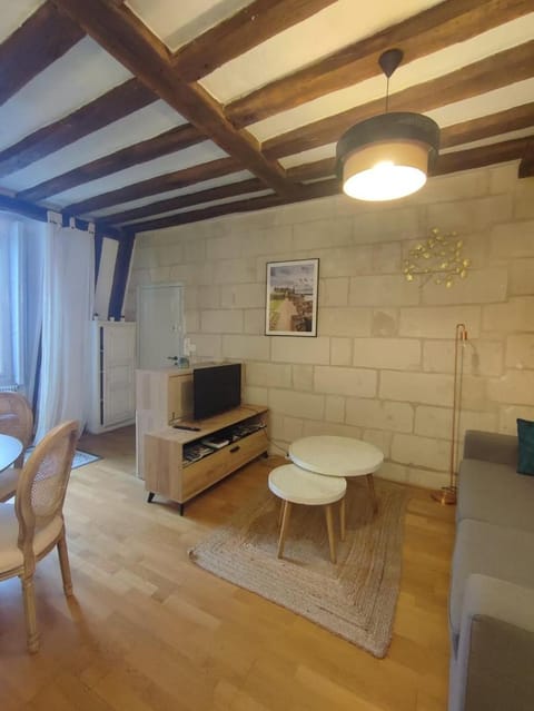 Lovely T2 in the heart of Tours Apartment in Tours