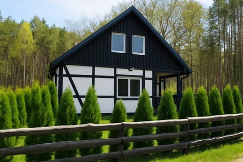 Property building, Day, Garden