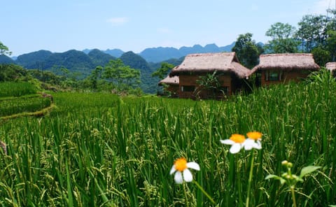 Property building, Day, Natural landscape, Mountain view