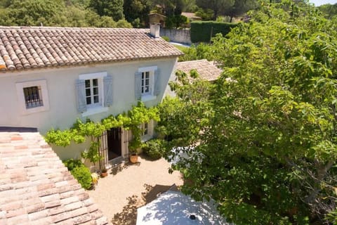 Property building, Garden view