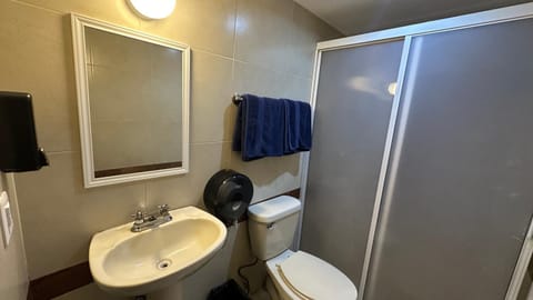 Shower, Toilet, Bathroom, towels