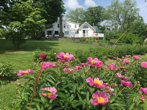 Enfield Manor Bed&Breakfast and Vacation Rental Bed and Breakfast in Finger Lakes