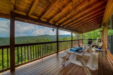 TreeTops- Pet Friendly Master on Main 5 minutes from Downtown Blue Ridge House in Blue Ridge