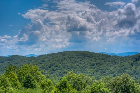 TreeTops- Pet Friendly Master on Main 5 minutes from Downtown Blue Ridge Maison in Blue Ridge