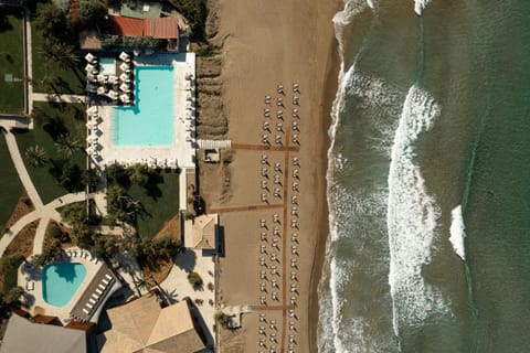 Property building, Beach, Swimming pool