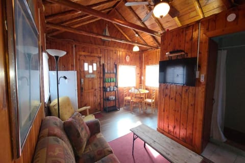 Lake Huron - 1 Bedroom, 1 Bath Lake Front Cabin (Sleeps 4) Condo in Oscoda Township