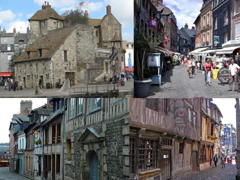 Entre le Pont 9 et l'Eveque , Les Hauts de Honfleur, Piscine, WIFI et Parking gratuits Apartment in Normandy