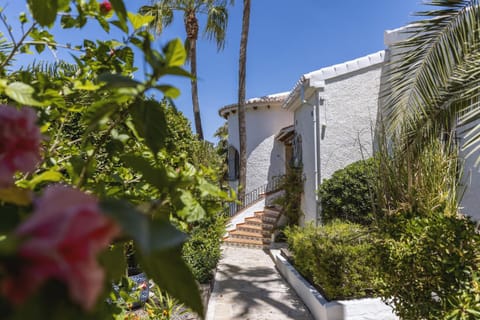 Patio, Garden, Garden view