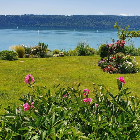 Garden, Lake view