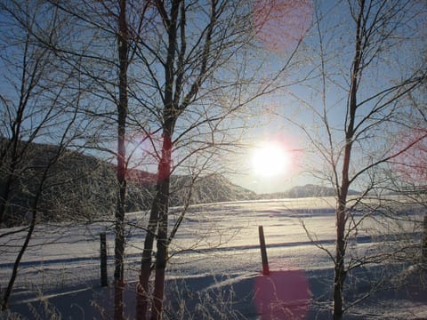 Off site, Neighbourhood, Natural landscape, Winter, Hiking, Sunrise