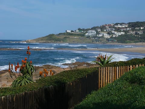 Natural landscape, Garden, Garden, Floor plan, Beach, Sea view