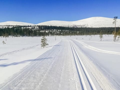 Holiday Home Villa taiga by Interhome House in Norrbotten County, Sweden