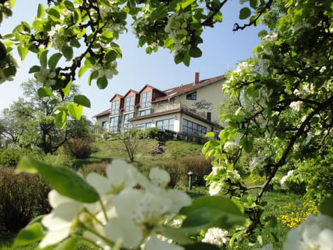 Facade/entrance, Spring, Day, Garden, Other, On site