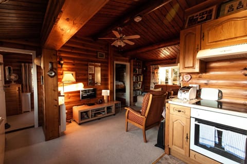 Country log cabin By Seren Property House in Trawsfynydd