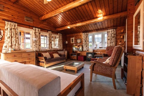 Cabin set in the mountains By Seren Property House in Trawsfynydd