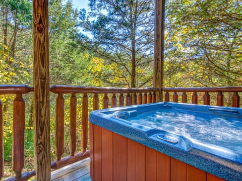 Moonlight Theater Lodge, 3 Bedrooms, Hot Tub, Pool, Sleeps 14 House in Pigeon Forge