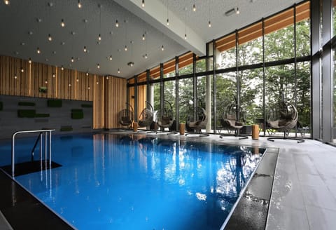 Spa and wellness centre/facilities, Swimming pool