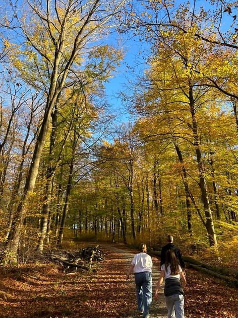 Nearby landmark, Natural landscape, Autumn