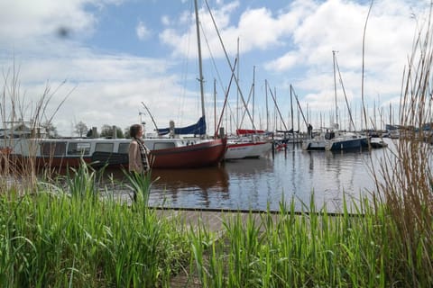 6 pers Chalet Emma direkt am Lauwersmeer House in Anjum