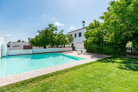 Garden, Swimming pool