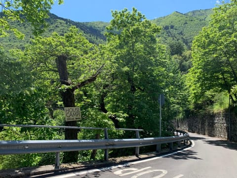 Property logo or sign, Natural landscape