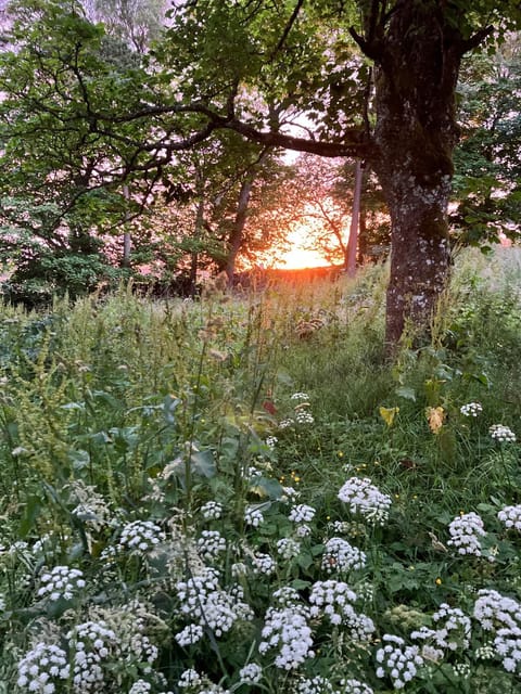 Elishaw Farm Holiday Cottages House in England