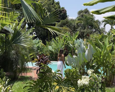 Pool view, Swimming pool, Swimming pool