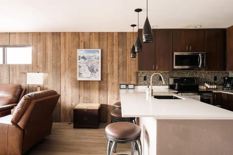 Kitchen or kitchenette, Living room, Seating area, Dining area, stove