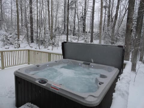 The "Okemo House" at Clocktower Chalet in Vermont