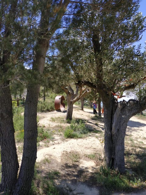 Natural landscape, Children play ground, Hiking